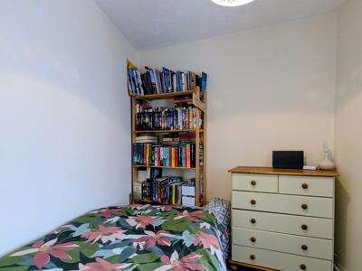 Picture 4